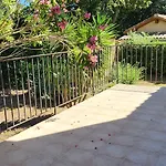 L'estimada *